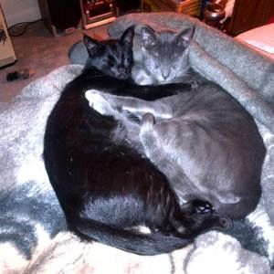 Meet your Posher, Cathie